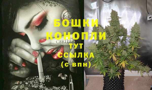 трава Аркадак