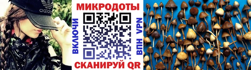 площадка формула  Светлый  Галлюциногенные грибы прущие грибы 